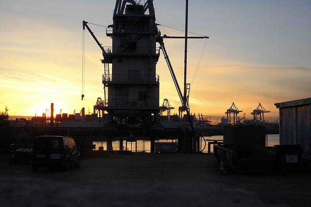 Elbkräne im Sonnenuntergang