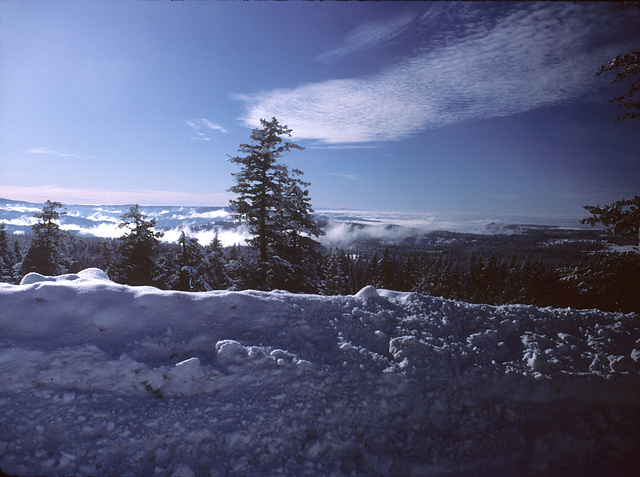 03-snow_in_blue_mtns_ig_adj_trim