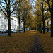 allee-1170387
