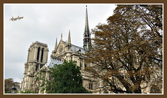 Notre Dame de paris !