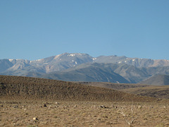 West Central NV2 31