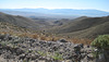 West Central NV2 35