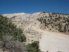 West Central NV2 40