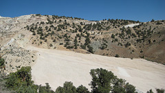 West Central NV2 41