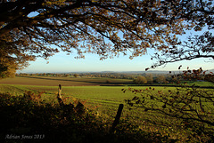 Autumn view