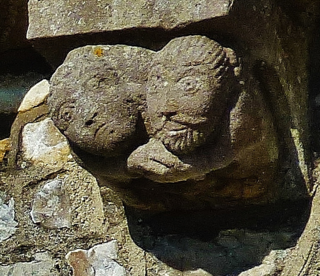 hawkchurch church, devon