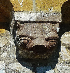 hawkchurch church, devon