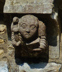hawkchurch church, devon