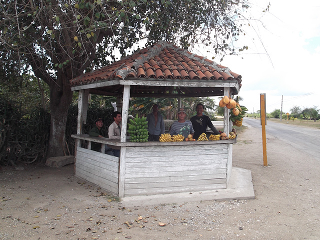 Photo santé / Fruits booth.