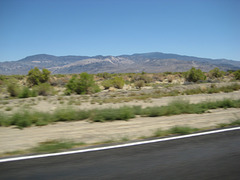 West Central NV2 81