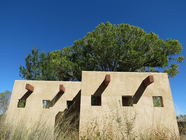 San Pedro Riparian National Conservation Area