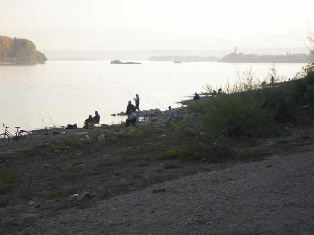 Le Danube à Vidin 3