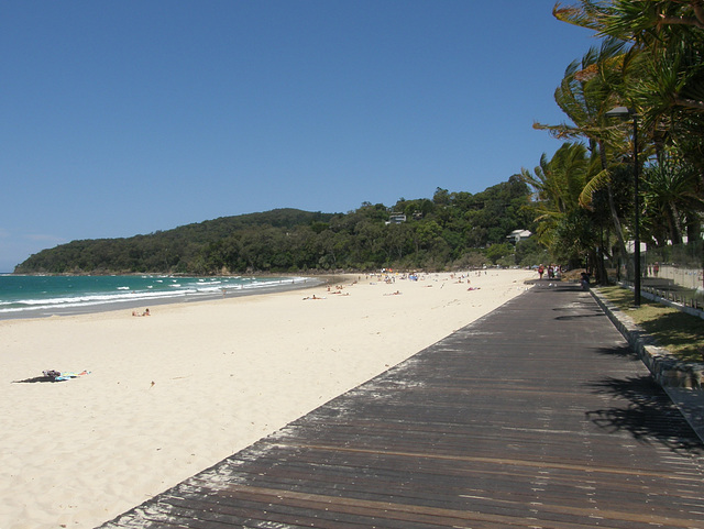 Noosa Boardwalk