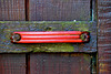 The Red Handle - Nikkor 55-200mm Zoom