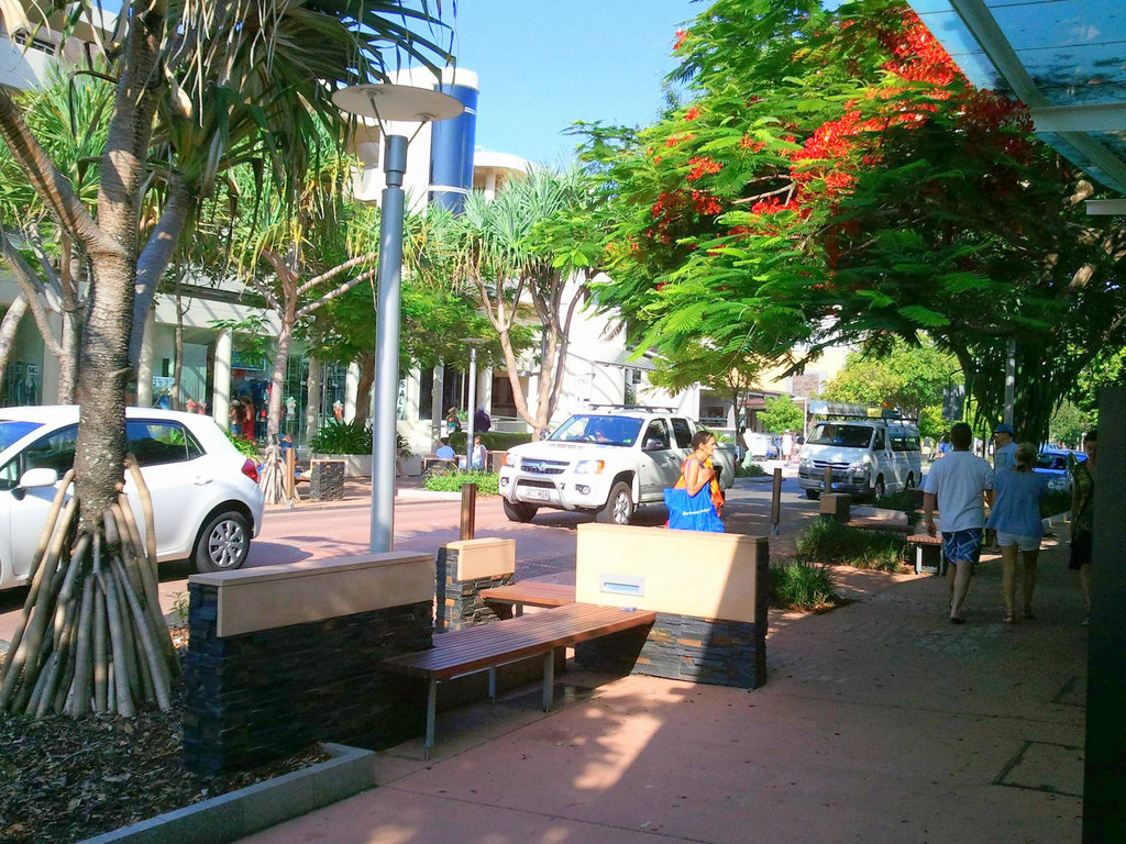 Pandanus and Poinciana, Hastings Street