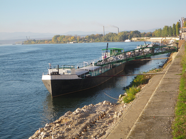 Le Danube à Vidin 4