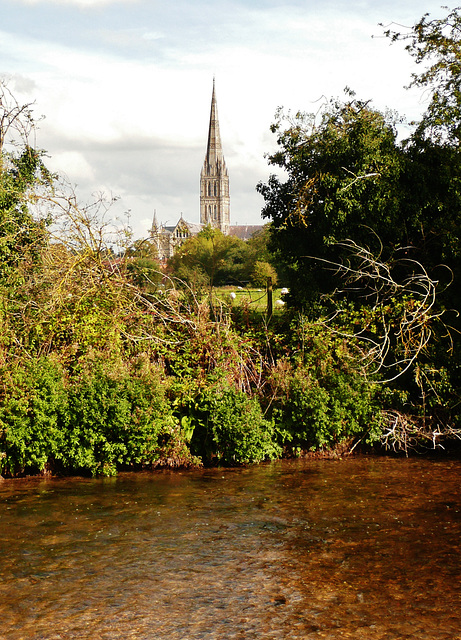 salisbury cathedral