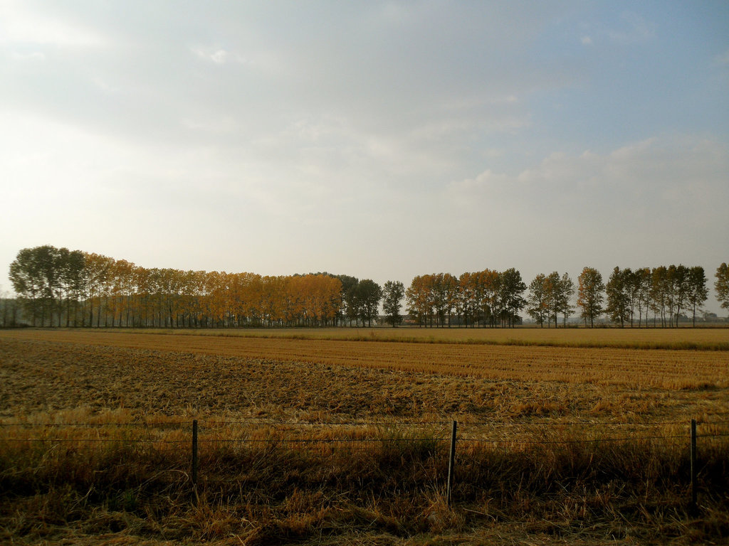 HFF nell'autunno lombardo