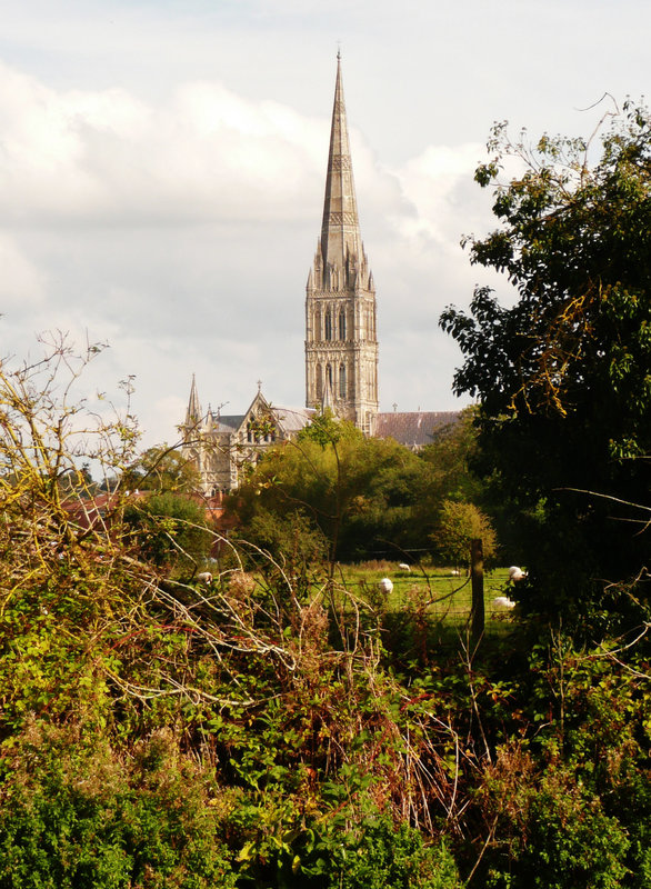 salisbury cathedral