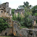 Ruines du logis de l'abbé commendataire de Boschaud