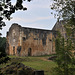 Ruines de l'abbaye de Boschaud