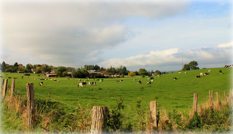 la campagne picarde