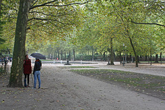 Parc de Bruxelles par la pluie