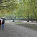 Parc de Bruxelles par la pluie