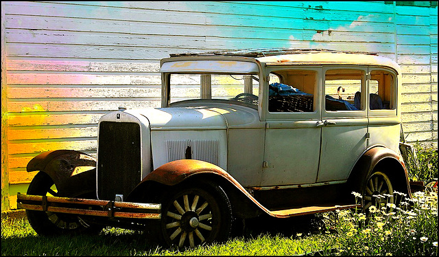 Seen in a Saskatchewan ghost town.