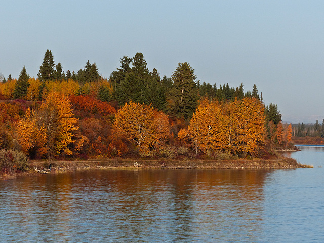 Fall colours at the Reservoir
