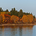 Fall colours at the Reservoir