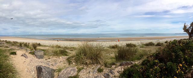 "Our" beach on a busy, sunny, June morning! @ Findhorn