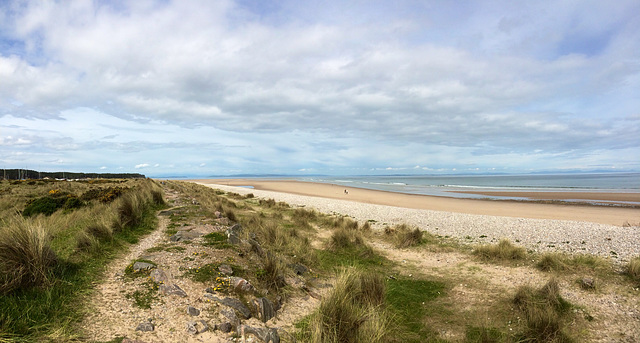 "Our" beach on a busy, sunny, June morning! @ Findhorn