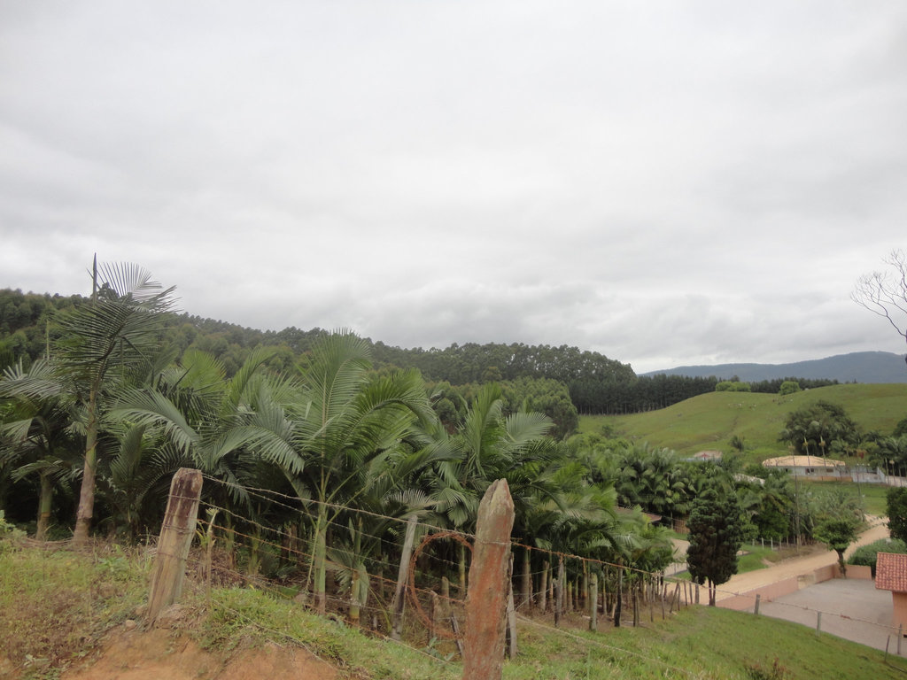 DSC03008