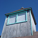 Pier Shades window and pigeon / Pigeon observateur en hauteur.