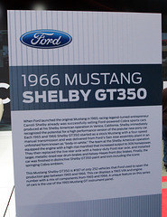 Mustang Shelby GT350 #187 (3774)