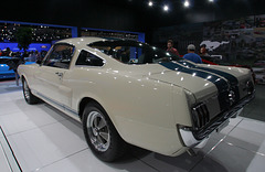 Mustang Shelby GT350 #187 (3777)