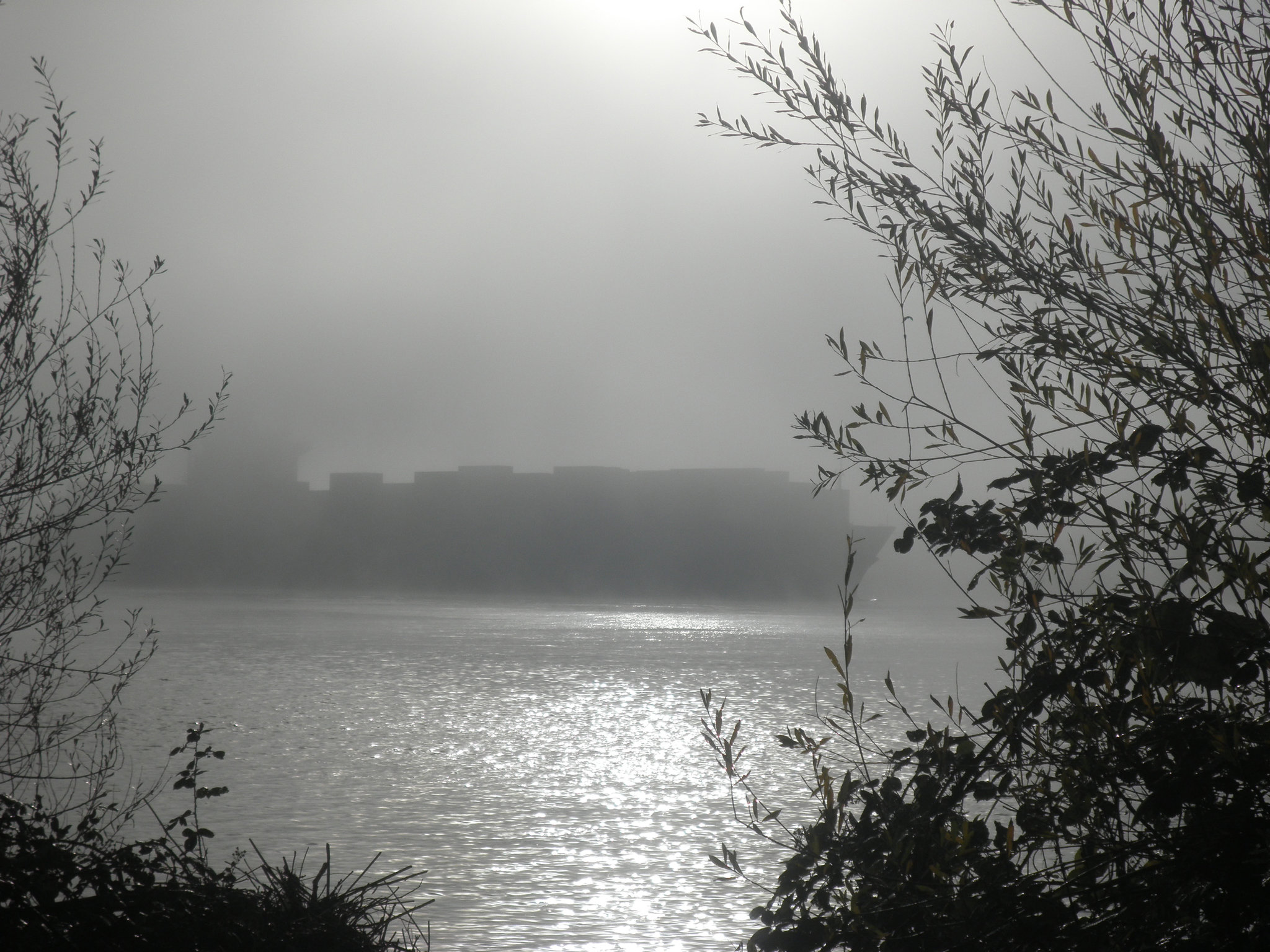 Containerschiff  im Nebel