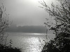Containerschiff  im Nebel