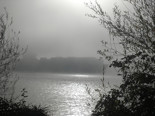 Containerschiff  im Nebel