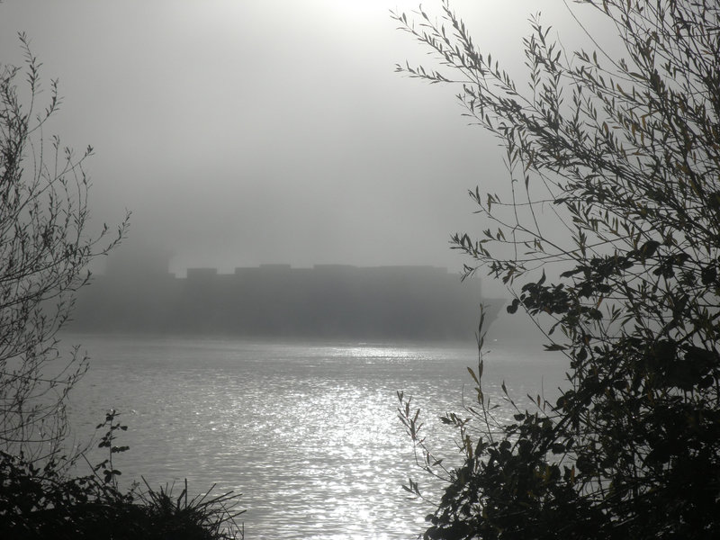 Containerschiff  im Nebel