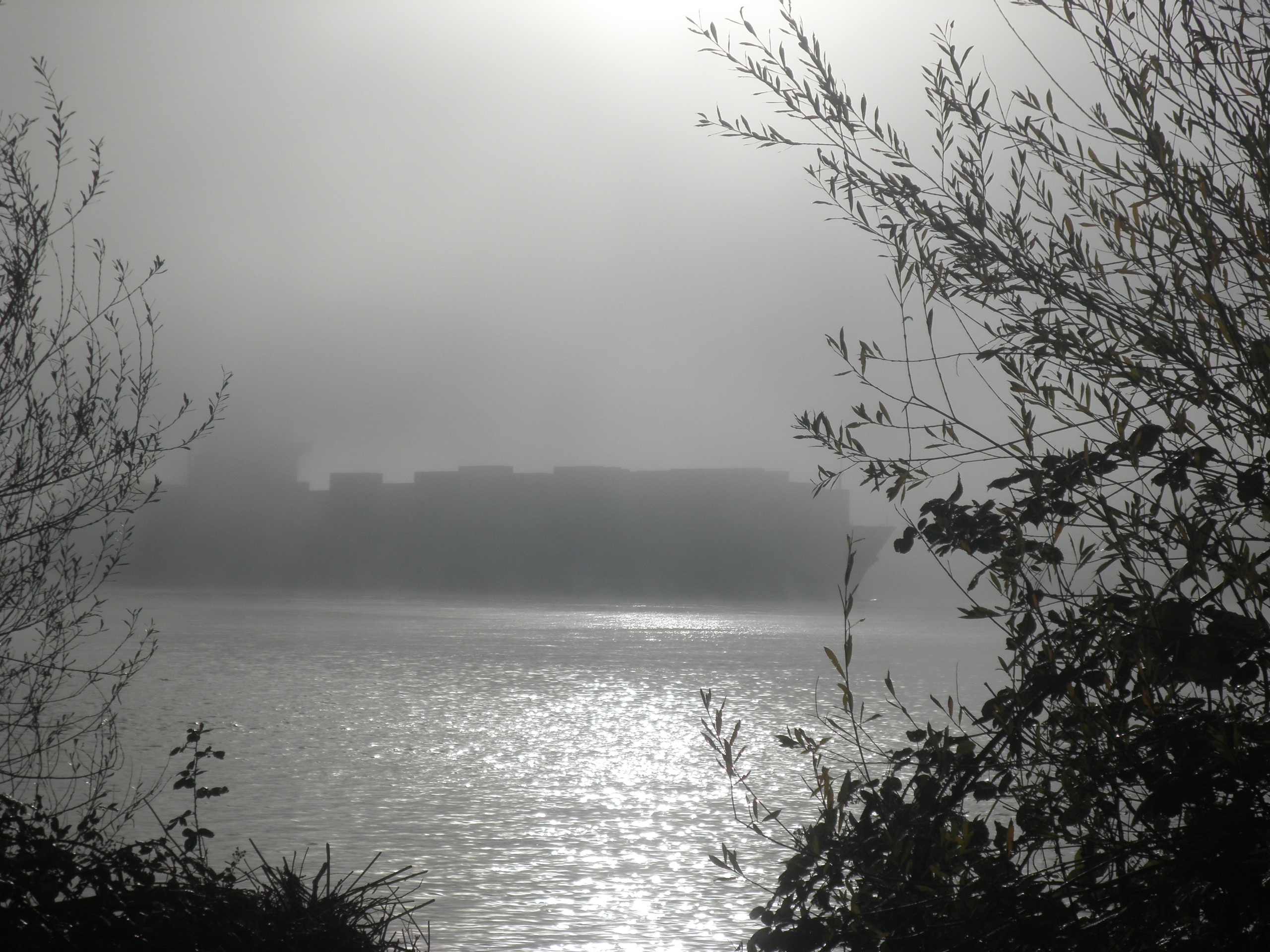 Containerschiff  im Nebel