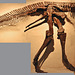 hadrosaur-DSC 7596B-A copy