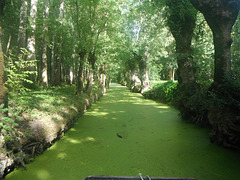 MAILLEZAIS Marais Poitevin-Abbayie 9 08 2011 023