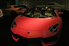 Pink Lamborghini (3726)