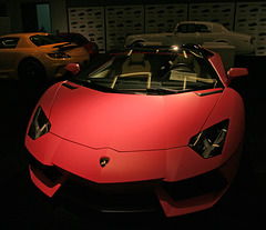 Pink Lamborghini (3727)