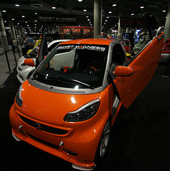 Smart Car (3861)