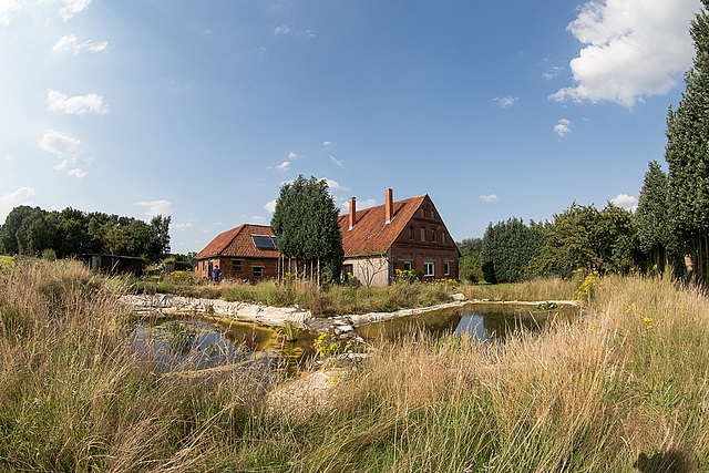 20140716 3988VRFw [D~MI] Gartenteiche, Hille