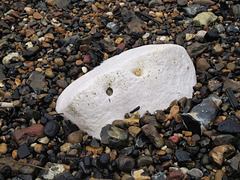 Foreshore face