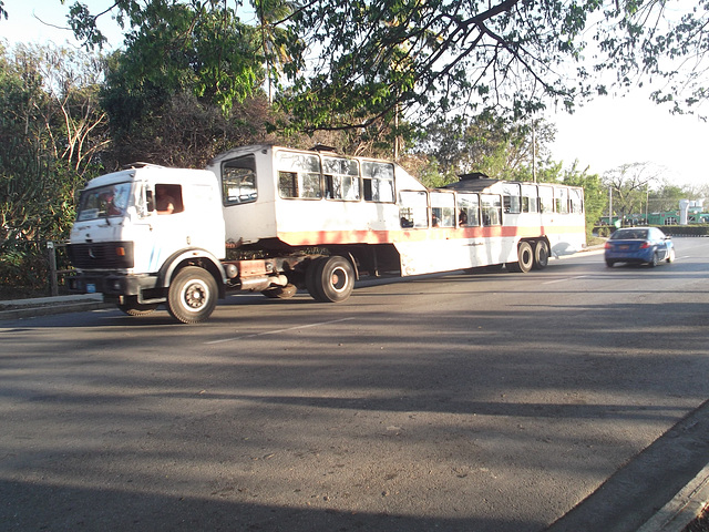 Bustruck /Camionbus.